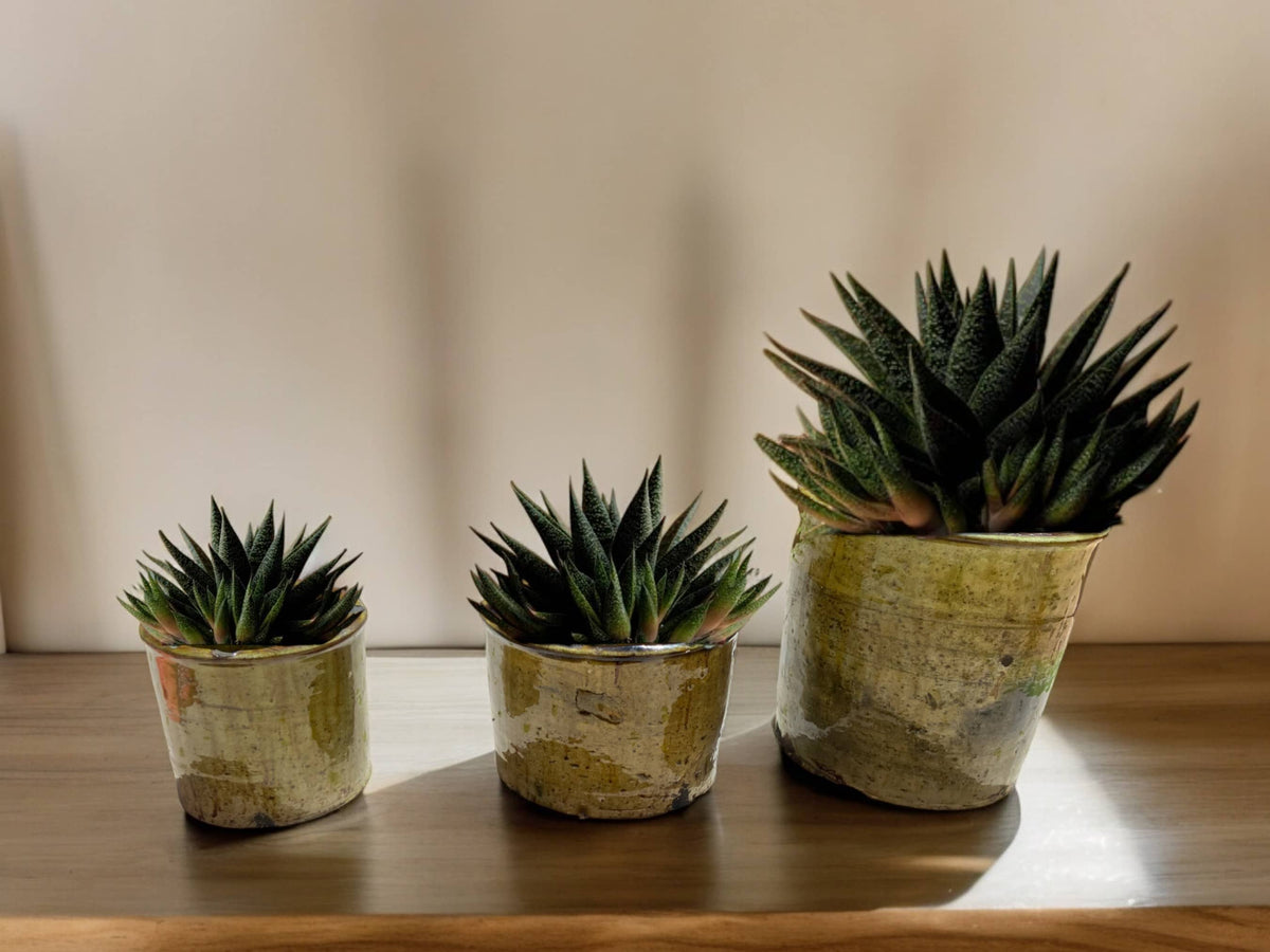 Shaded Ochre Glaze Tamegroute Planter/Pot