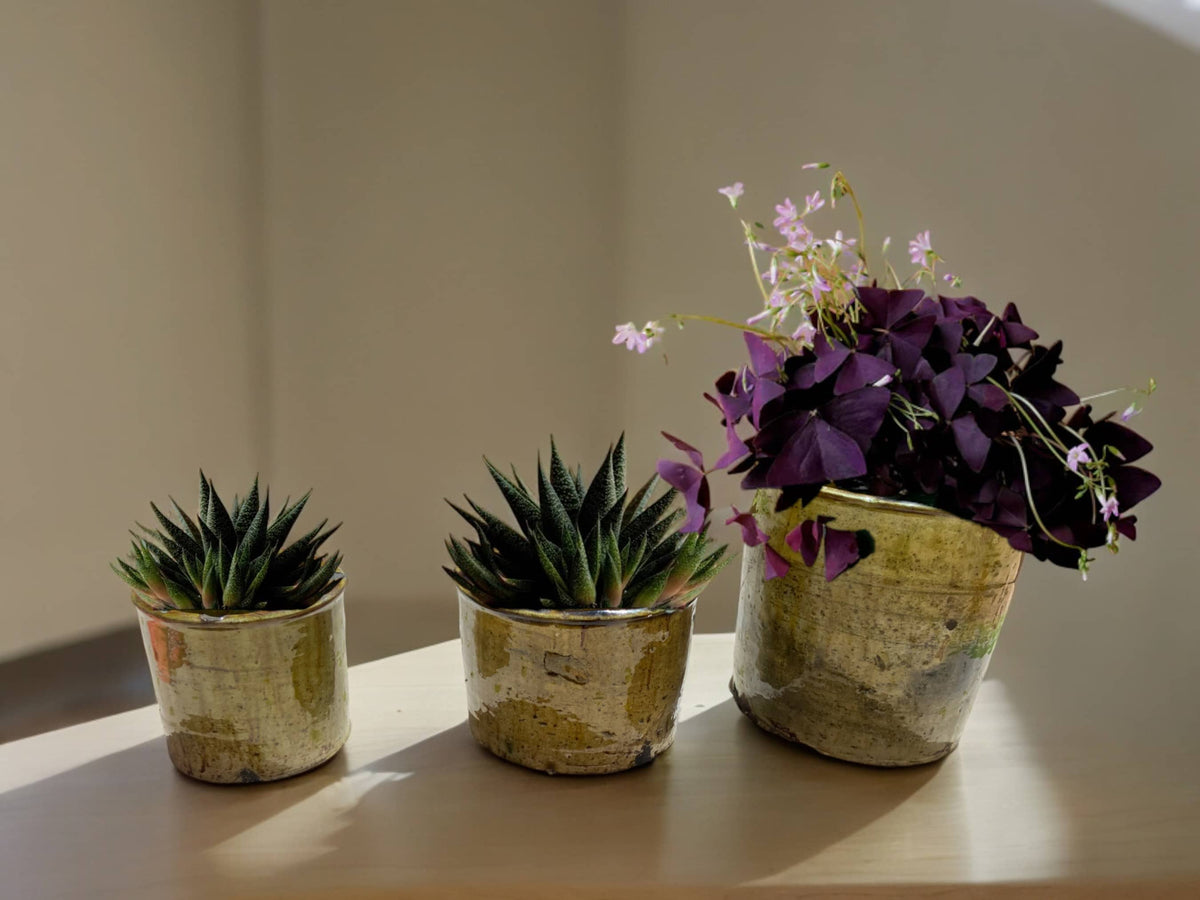 Shaded Ochre Glaze Tamegroute Planter/Pot