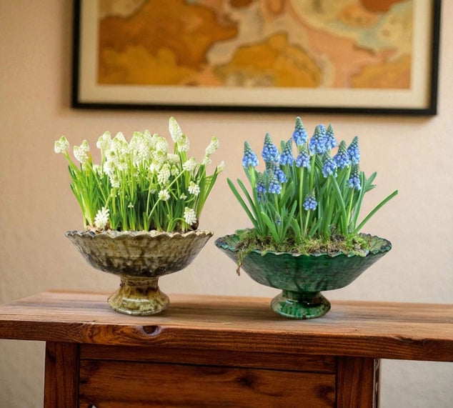 Two decorative planters with greenery and flowers on a wooden surface.