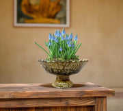 Potted plant with blue flowers in a decorative bowl on a wooden surface.