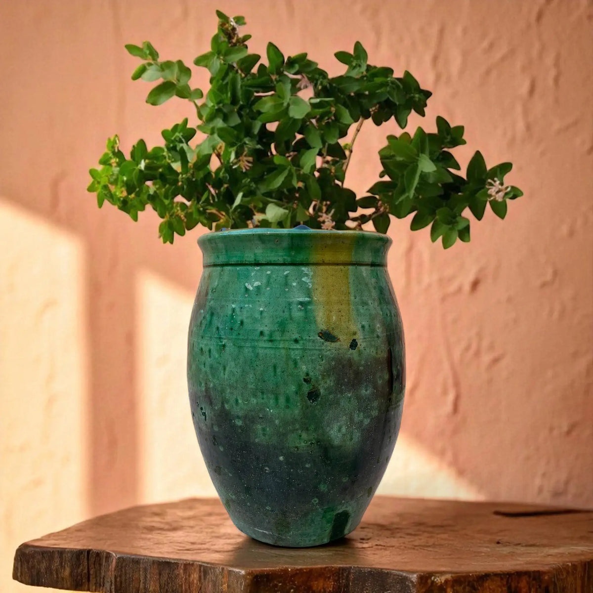 Green plant in a textured vase on a wooden surface with a warm-toned wall background