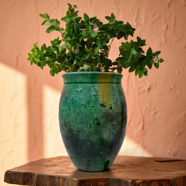 Green plant in a textured vase on a wooden surface with a warm-toned wall background