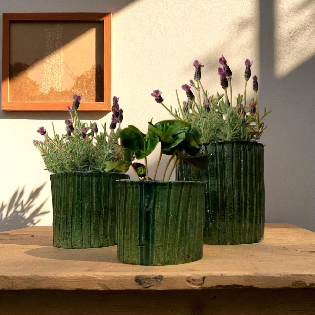 Three green ribbed planters with flowering plants on a wooden surface.