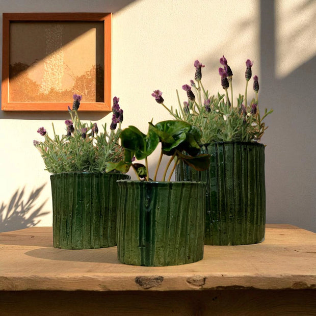 Three green ribbed planters with flowering plants on a wooden surface.
