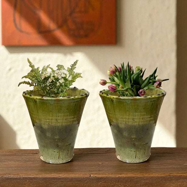 Two  ceramic planters with plants on a wooden surface.