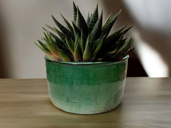 Handmade Moroccan Vintage Shaded Green Glaze Tamegroute Planter/Pot: Unique Ceramic Pottery for Plants