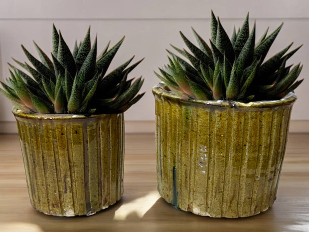 Ribbed Planter/Pot
