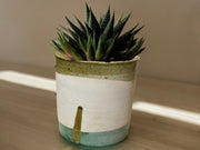 Handmade Moroccan Vintage Shaded  Glaze Tamegroute Planter/Pot: Unique Ceramic Pottery for Plants