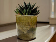 Shaded Ochre Glaze Tamegroute Planter/Pot