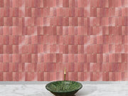 Blushing Mistress Bejmat Zellige Tile – 2"x6" Handmade Moroccan Tile