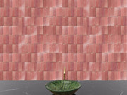 Blushing Mistress Bejmat Zellige Tile – 2"x6" Handmade Moroccan Tile