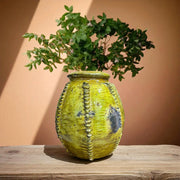 Yellow textured vase with green plant on a wooden surface against a beige wall