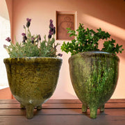 Two green ceramic planters with plants on a wooden surface.