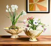 Splatter Yellow Moroccan Footed Bowls – Handcrafted Tamegroute Pottery for Table or Planting (6"–12")