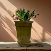 Vintage-style pot with tulips against a beige wall