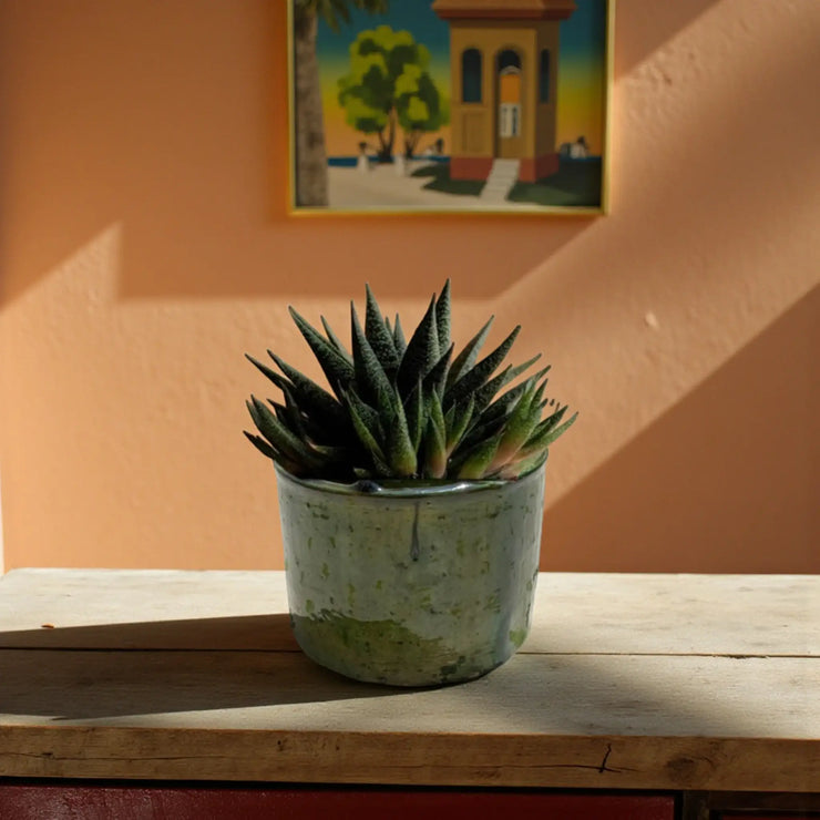 Handmade Tamegroute green planter vessel, Moroccan pottery, suitable for plants or poured candles