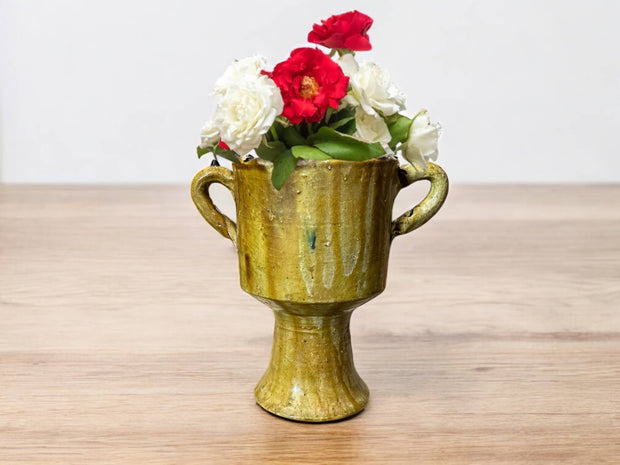 Unique Ceramic Pottery for Plants