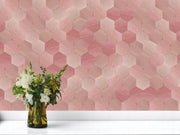 Deep Pink Hexagon Zellige Wall Tiles
