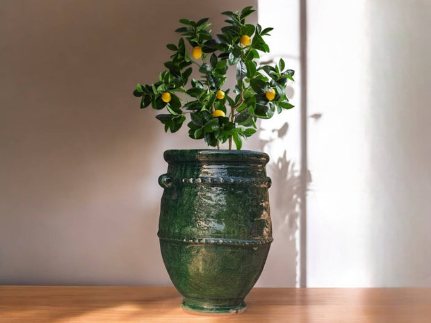 Green Glazed Jar Vases