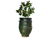 Green Glazed Jar Vases