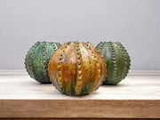 Pumpkin Vase 